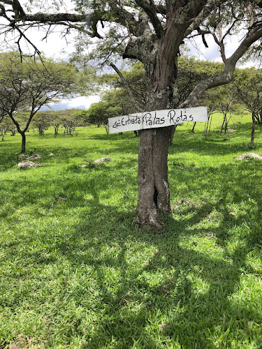 Comentarii opinii despre Pailas Rotas