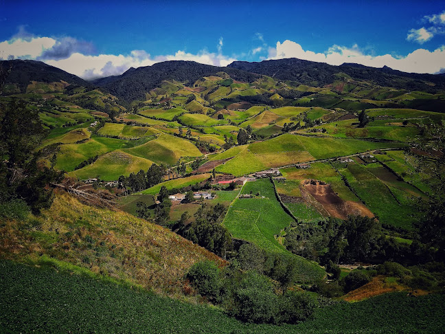 Comentarii opinii despre Carchi