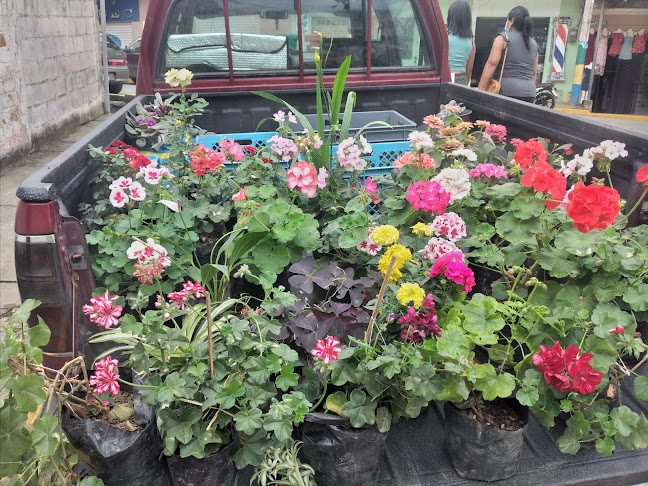 Mercado Municipal de Balsas - Balsas