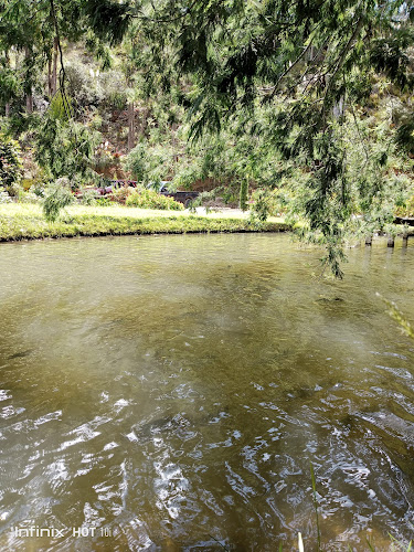 Comentarii opinii despre El Salado Quillosisa