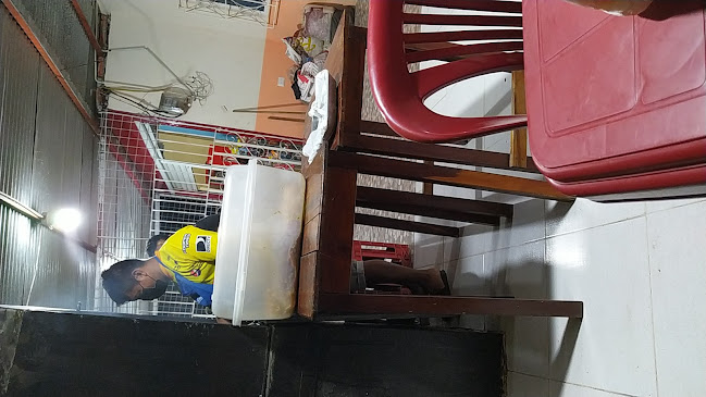 ASADERO EL GUSTO - Gastronomía y hostelería