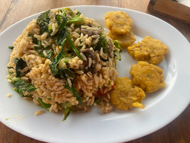 Opinii despre El Viejo y El Mar Hostal y Restaurante în Crucita - Gastronomía y hostelería