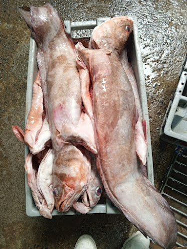 Pescadería la caraguay - Quito