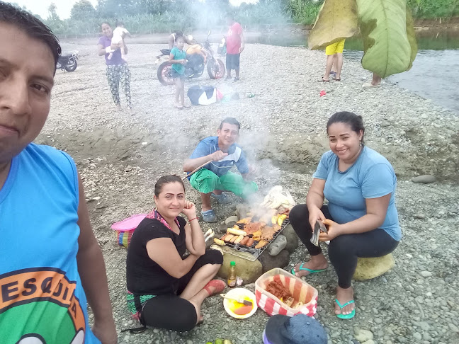 Girasol 2 Los Rios Buena Fe - Fumisa - Gastronomía y hostelería