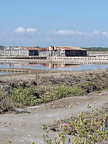 Monte Cristi - Gastronomía y hostelería