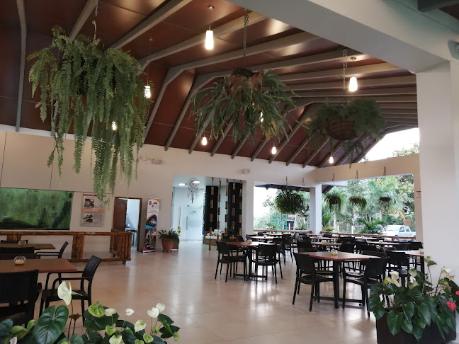 Opinii despre PIRARUCÚ în Nueva Loja - Gastronomía y hostelería