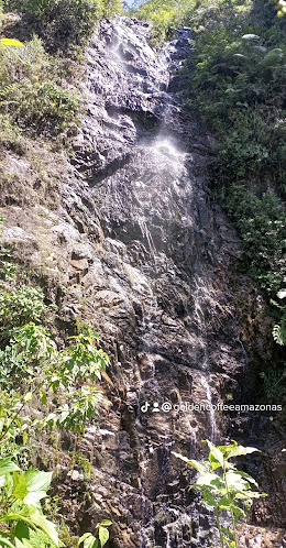 Opinii despre Golden Coffee Amazonas în Yantzaza - Gastronomía y hostelería