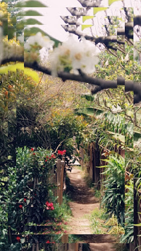 Opinii despre Granja Escuela La Hondonada în Latacunga - Gastronomía y hostelería