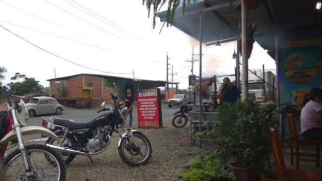 Comentarii opinii despre MARISQUERÍA RESTAURANT "REINA DEL CISNE"