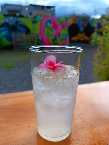 Magic Garden - Ambato