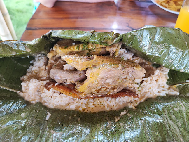 Comentarii opinii despre Quinta EL FELINO