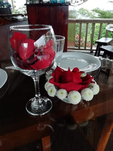 Comentarii opinii despre SALOYA FROGS (hospedaje)