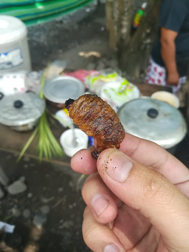 Mi Bella Estacion - Gastronomía y hostelería