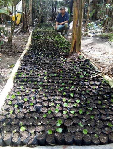 268G+274, Lauro Guerrero