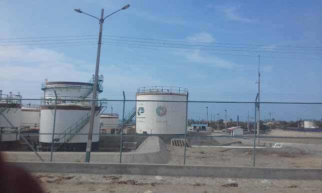 Tienda D' Betsy - Gastronomía y hostelería