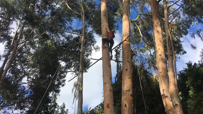 La Aldea - Gastronomía y hostelería