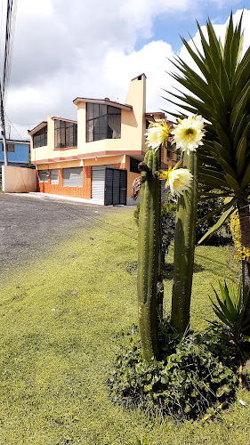 Opinii despre CHIFA RESTAURANTE Y PASTELERÍA "CASU" în Alóag - Gastronomía y hostelería