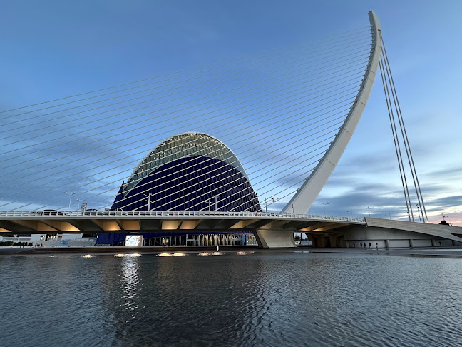 Av. del Professor López Piñero, 7, Quatre Carreres, 46013 València, España