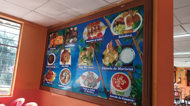 Calle, Alfonso Perrier N22-62, Quito 170136