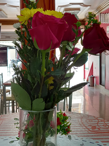 Comentarii opinii despre Delicias Stelita