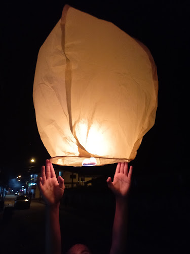 Opinii despre Manioc în Puerto Misahuallí - Gastronomía y hostelería