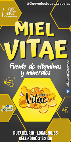 Meliponario Vitae - Quevedo