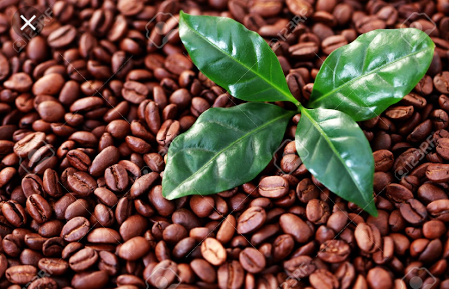 CaféHJAS - Gastronomía y hostelería