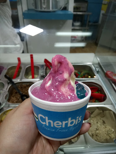 Comentarii opinii despre Cherbis