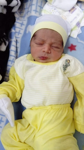 Mercado Municipal - Gastronomía y hostelería