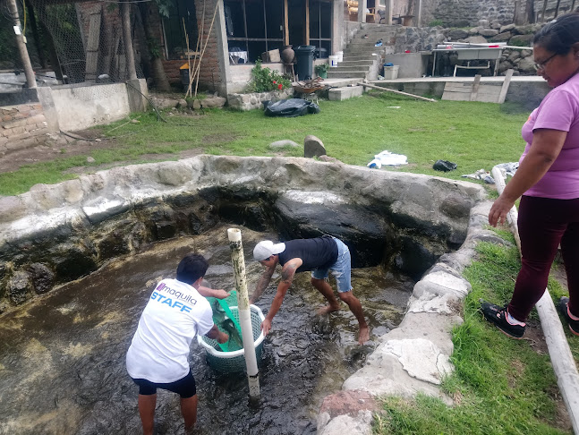 Comentarii opinii despre TRUCHAS LA VALENTINA