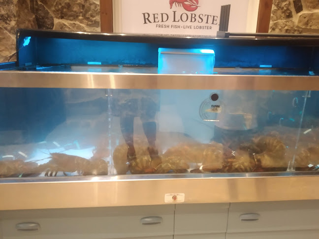 Red Lobster - Guayaquil