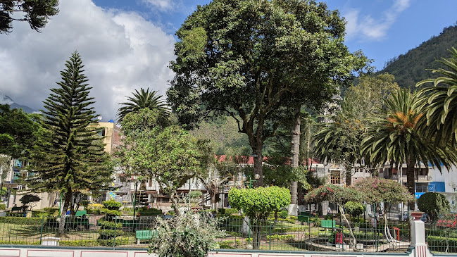 AMARELO CAFE RESTAURANTE - Gastronomía y hostelería