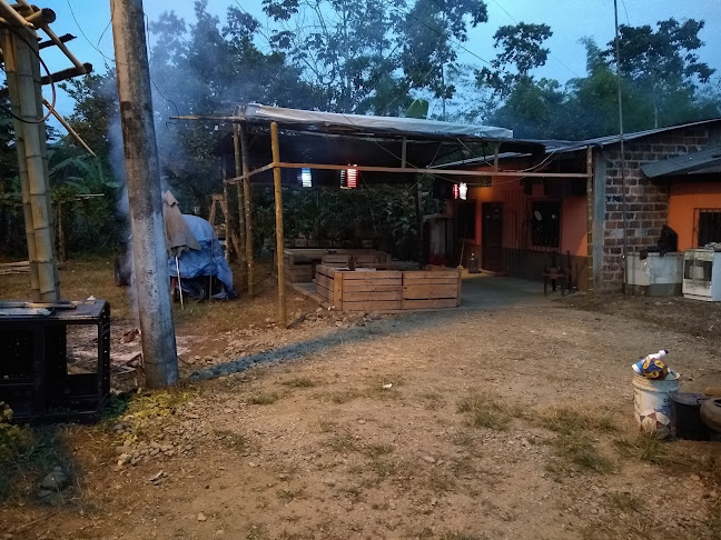 DANCE la bohemia, bar discoteca - Gastronomía y hostelería