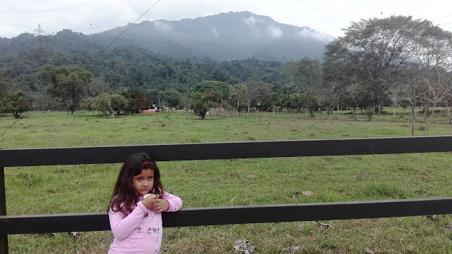 Mundo Lacteo (Paul Olsen) - Colta