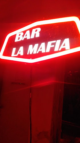 Opinii despre Karaoke D' La Mafia în Francisco de Orellana - Gastronomía y hostelería