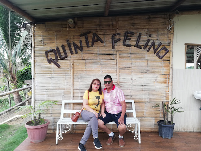 Comentarii opinii despre Quinta EL FELINO