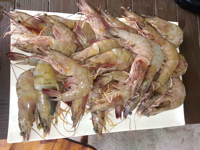 La Casa De La Uva - La Maná