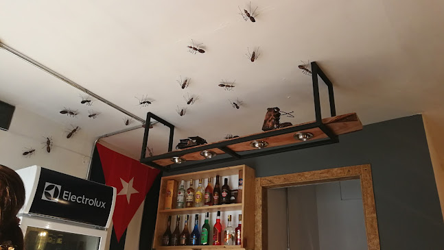 VC63+R9Q, Milagro 091701