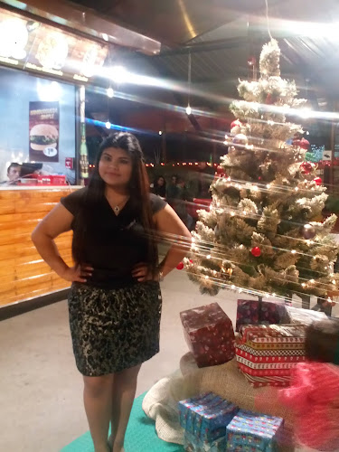 P9M9+342, Ambato 180103