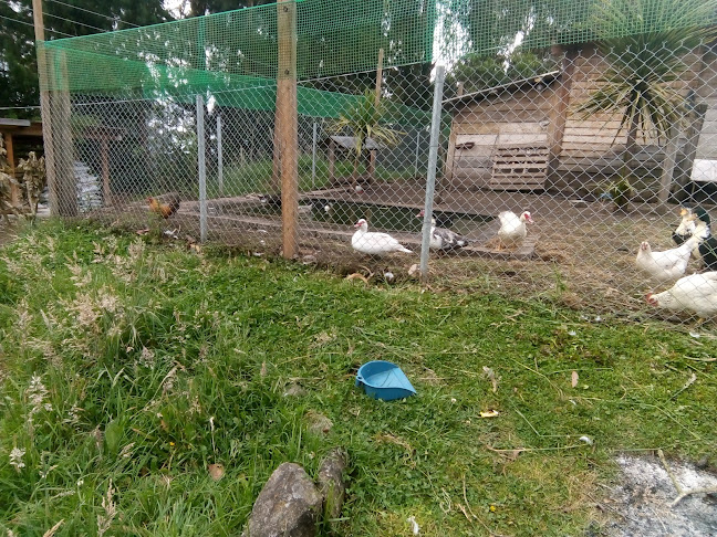 83Q3+CQ5, Cañar, Ecuador