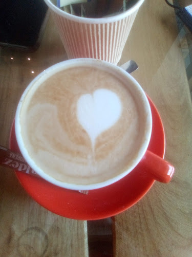 Girasoles de Van Gogh Cafe - Gastronomía y hostelería