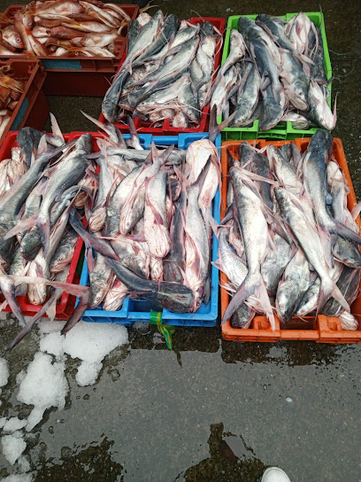 Pescadería la caraguay