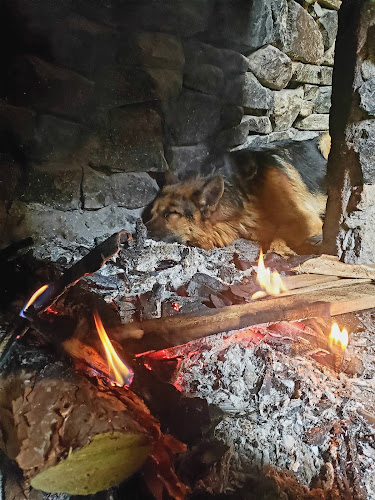 Rancho Hnos Prado - Gastronomía y hostelería