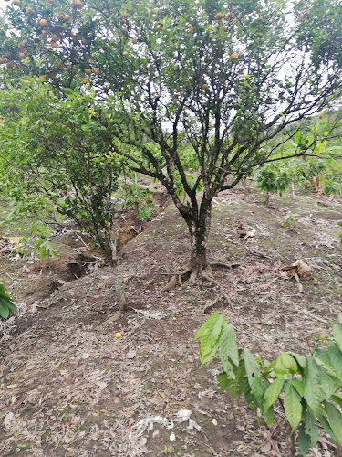 Teddy Donas - Portoviejo