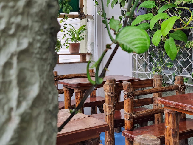 Rúcula Verde, un Toque Argentino🌱🇦🇷