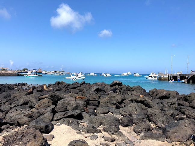 Fresco Cafe - Puerto Baquerizo Moreno