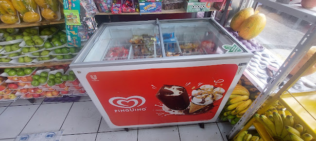 Distribuidor Heladería Pingüino - Cerezo - Gastronomía y hostelería