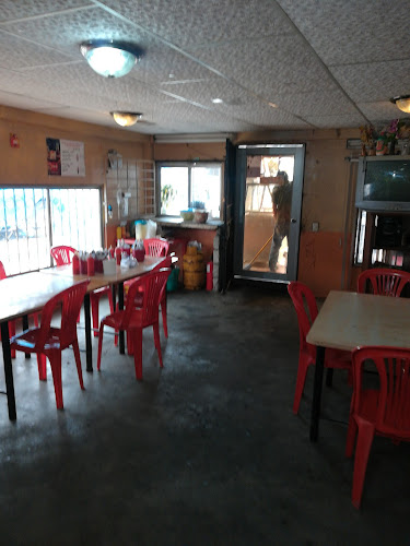 Asadero rey pollo de Gleen