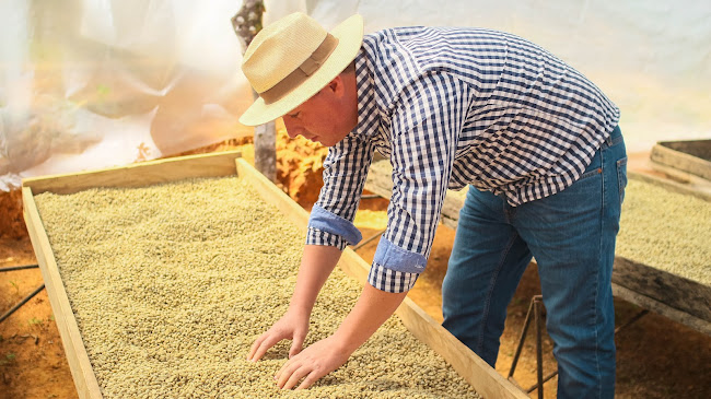 474M+J9J, A, Chaguarpamba