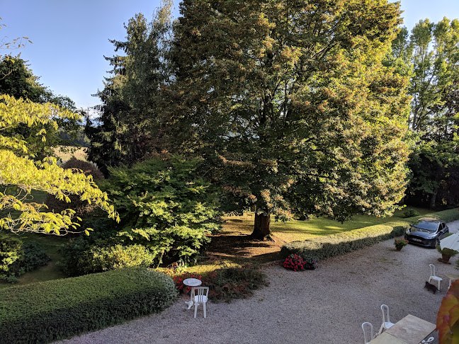 Comentarii opinii despre Pinas